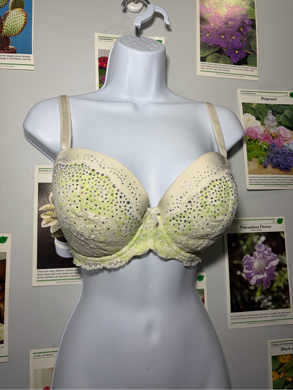Victoria's Secret Cream and Light Green Embellished Push-Up Bra